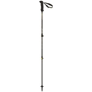 Kije trekingowe Backcountry CARBON 2 Camp