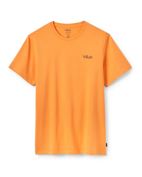 Męska koszulka Stance Strata Tee Rab