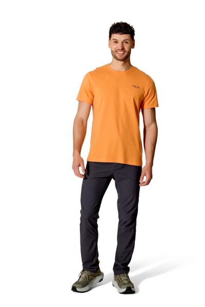Męska koszulka Stance Strata Tee Rab