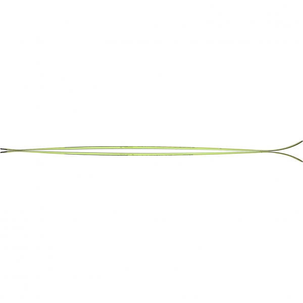 Narty SKITUROWE SUPERSCOUT - 146cm MAJESTY
